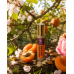 Apricot Whisper Peony & Almond by Fantasy Community Perfumes roll-on