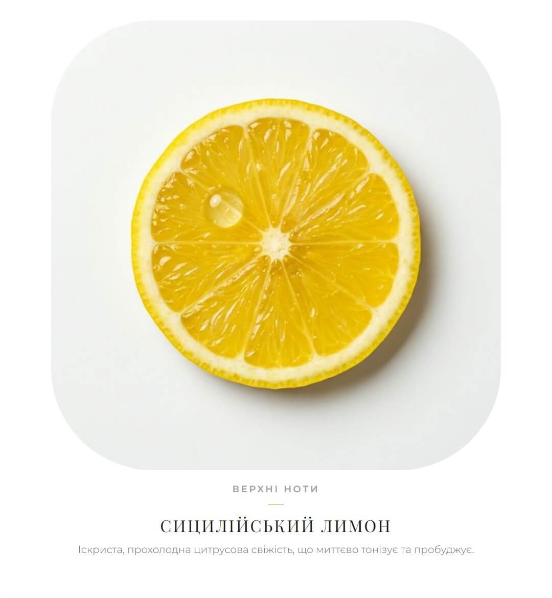 Citrus Breeze & Dark Rum by Fantasy Community Perfumes roll-on