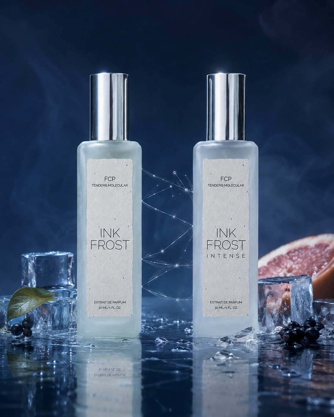 INK DUO — INK FROST + INK FROST INTENSE, 2 повні флакони 30 мл