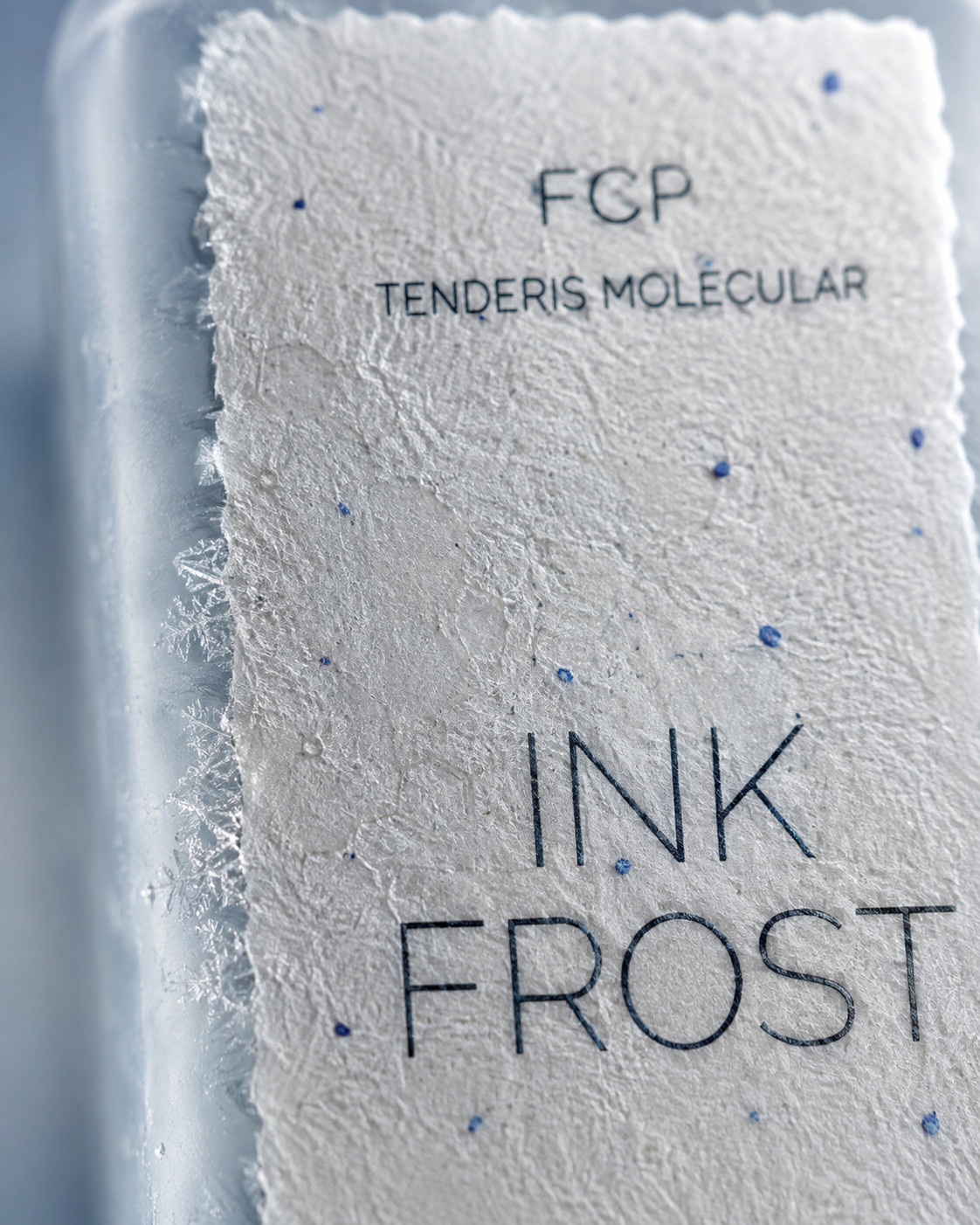 INK FROST — розкладка: кокос і лід на світлому тлі